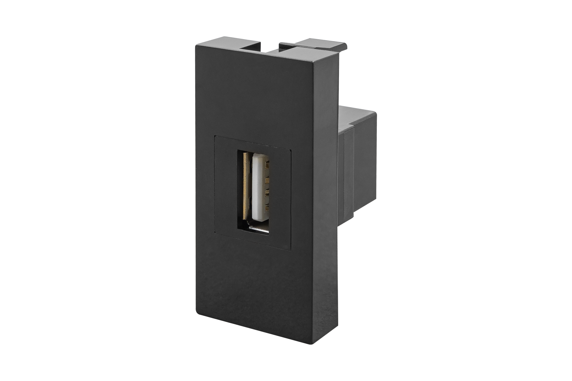 45x22,5 mm USB Dişi Giriş Çıkışlı (Siyah) KOLİ